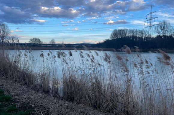 Energieinfrastruktur: Hochspannungsleitung am See, realisiert durch Consulting und Anlagenbau von Cteam. Energieinfrastruktur: Hochspannungsleitung am See, realisiert durch Consulting und Anlagenbau von Cteam.